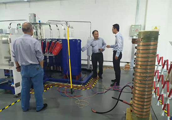 國際防雷專家-1 國際防雷專家-1